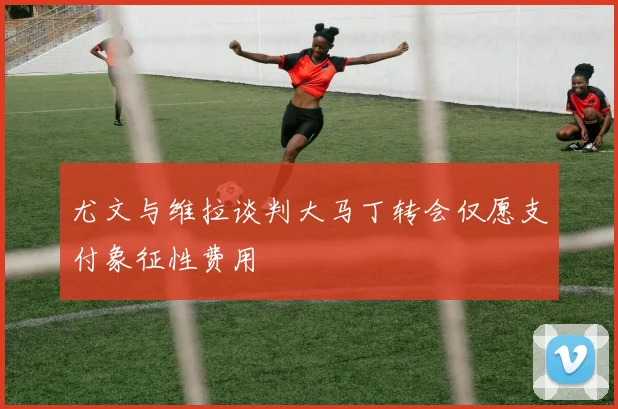 尤文与维拉谈判大马丁转会仅愿支付象征性费用