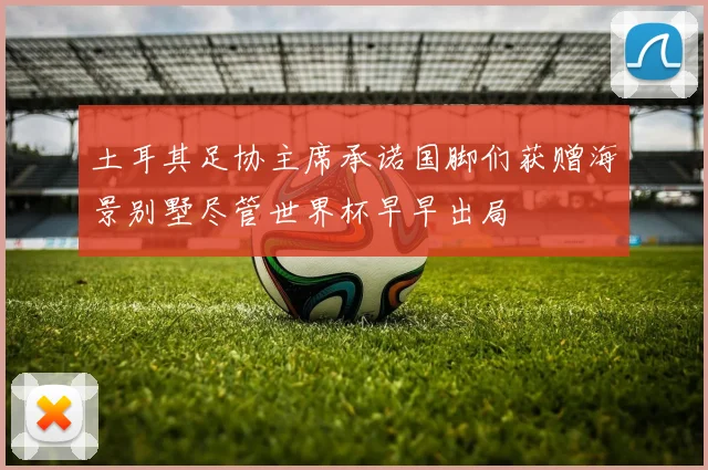 土耳其足协主席承诺国脚们获赠海景别墅尽管世界杯早早出局