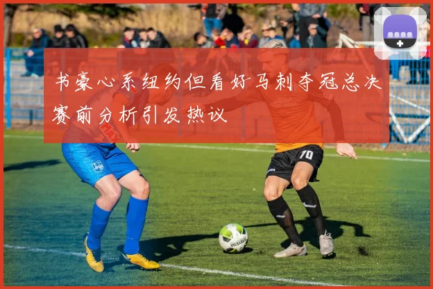 书豪心系纽约但看好马刺夺冠总决赛前分析引发热议